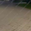 «Мама, забери меня!» Жители Санкт-Петербурга обратились в полицию из-за...
