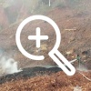 8 лесных пожаров на площади 314 гектаров действовали в Иркутской области