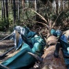 Упавшее дерево насмерть задавило ребенка в Тверской области