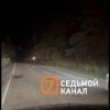 Наперегонки с медведем: обычный вечер в Сибири