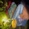 Под Брянском спасли четырех заблудившихся в лесу женщин