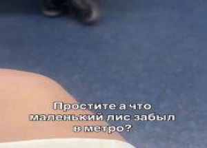 Маленького лиса заметили в метро Москвы — он сидел у женщины на коленях 🇷🇺...