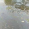 Видео с неприятным запахом