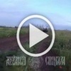 Родился в рубашке.