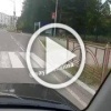 Лоси бегают по Саянску 🇷🇺 Источник: ЧП Иркутск