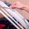 Пять краснокнижных нерп выпустили в Ладожское озеро после успешной реабилитации