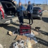 На Таймыре задержали мужчину, который пытался провезти два килограмма...