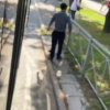 На остановке «25 лет Октября» двое водителей общественного транспорта...