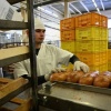 5,7 млн рублей заплатит уралец за мигрантов из Шри-Ланки и Узбекистана 23...