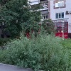 Сквер реконструировали, а про обслуживание забыли