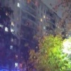 Восемь породистых собак сгорело при пожаре в Москве