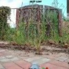 Российские 