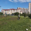 Дети убили утку в парке 400-летят Красноярска. По словам очевидцев, два...