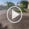 В Беловском городском округе заметили лося. Жители пгт...