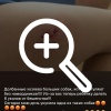 Жители Пашино активно жалуются на собак