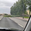 Ветер бушует в Петербурге: падают деревья, разъезжаются мусорные баки. А в...