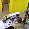 Петербуржец на ПВЗ оплатил попону для лошади билетами банка приколов. Чувство юмора не оценила прокуратура.