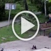 В Иркутске полицейские разыскивают предполагаемого похитителя бензореза