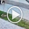 Дети разгромили памятник «Воину-освободителю» в Мытищах.