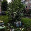 От читателя: Уважаемые жители города Ачинска! Двор 4 микрорайона, домов...