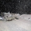 Пьяным выехал на встречную полосу: в Ачинском округе водитель Lada Vesta получил 7 лет колонии за смертельное ДТП