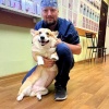 Огромную, почти килограммовую опухоль почки удалили 4-летнему псу Ричарду...
