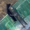 Мужик отчаянно пытался попасть в детский сад № 362 сегодня днем. Кадрами с...