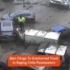 Водитель опрокинутого грузовика чудом спасся во время наводнения в Чили: забрался на машину и успел ухватиться за дерево. В этот момент вокруг него грязевые потоки уносили другие авто.