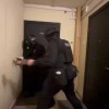 Сотрудника гатчинской администрации задержали по делу о мошенничестве По...