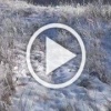 В заповеднике 