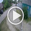 Собака вырвала ребёнка из рук матери и покалечила — в Пензе разыскивают владельцев бойцовского пса