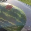 Отдыхающие из Кургана решили проверить Lada Largus на прочность — они взорвали арбуз прямо на капоте тачки.