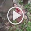 ❗️По позициям наших военнослужащих был осуществлён запуск...