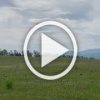 Серых краснокнижных журавлей посчастливилось снять в...
