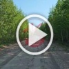Медведя заметили на дороге Мотыгино-Орджоникидзе. 🌇...