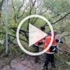 В Москве ликвидируют последствия аномального майского снегопада.
