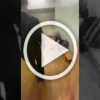 «Я водитель автобуса, иди на х.й!»