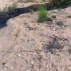 Неизвестную черную жидкость сливают в озеро Ханка на границе с Китаем.
