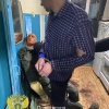 В Новосибирске перед судом предстанет местный житель за убийство женщины В...
