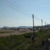 🚙В этом году в Ливадии первый и второй пляж — без машин. Парковка вдоль дороги, а весь песок — только для людей. Палатки пожалуйста, лежанка, зонтик — все, что угодно, но без машин.