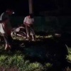 🗣В Приморье 39-летний мотоциклист вылетел с дороги и разбился насмерть