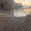 Школьники вышли на тонкий лёд в Новосибирске. Шкетов заметил прохожий на...