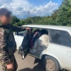 В Белгороде задержали вора, укравшего полтонны корма