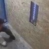 Ребёнок издевался над котом в челябинском ЖК 