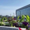 Новый временный терминал аэропорта Иркутска уже принял пассажиров