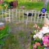 Неизвестные разворотили могилы на окраине деревни Козловка под Новосибирском