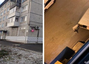 В Ачинске Роспотребнадзор запретил ПВЗ «Вайлдберриз» разгружать товары со двора