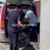 В Туве задержали Светлану Крохалеву — жительницу Минусинска, которая занимается отловом собак