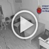 В Воронеже раскрыли схему сдачи экзаменов иностранными...