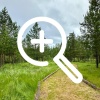 В Бузулукском бору появилась новая экотропа «Сказочный...